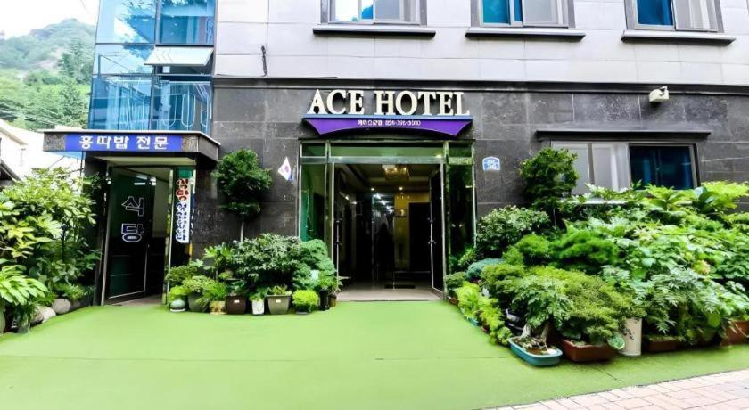 Ulleungdo Ace Hotel מראה חיצוני תמונה